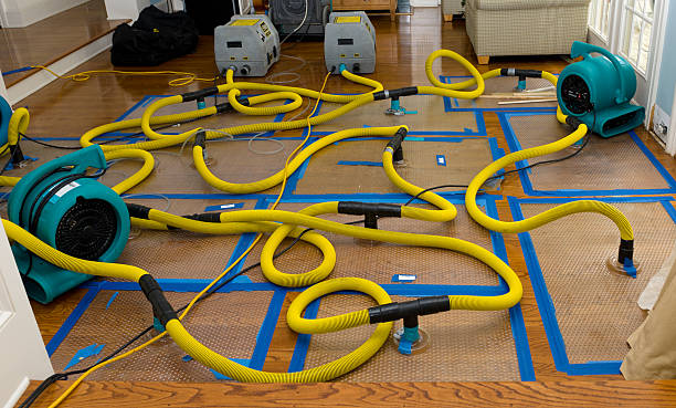 Professional Water Damage Repair technician working in Chapel Hill, NC